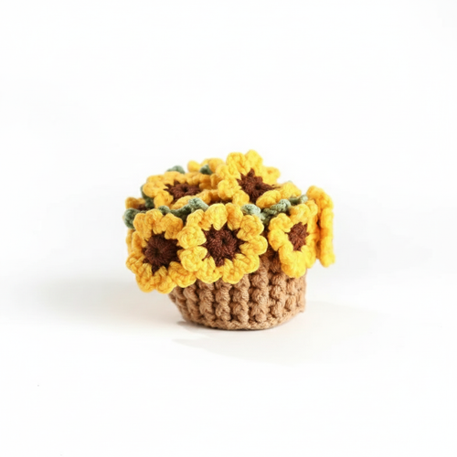 Handmade Crochet Coaster (Pack of 4)